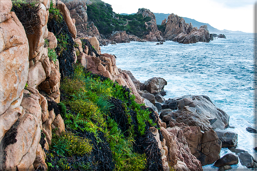 foto Spiagge a Santa Teresa di Gallura